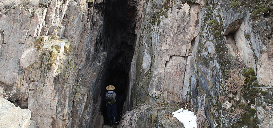 غار زری،غار نوردی،جاذبه های گردشگری