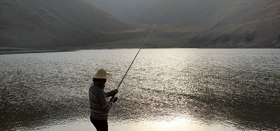 چشمه سبز،جاذبه های گردشگری شهر مشهد،جاهای دیدنی مشهد،جاذبه های گردشگری استان خراسان رضوی