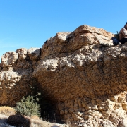 تمساح سنگی دره سیستان