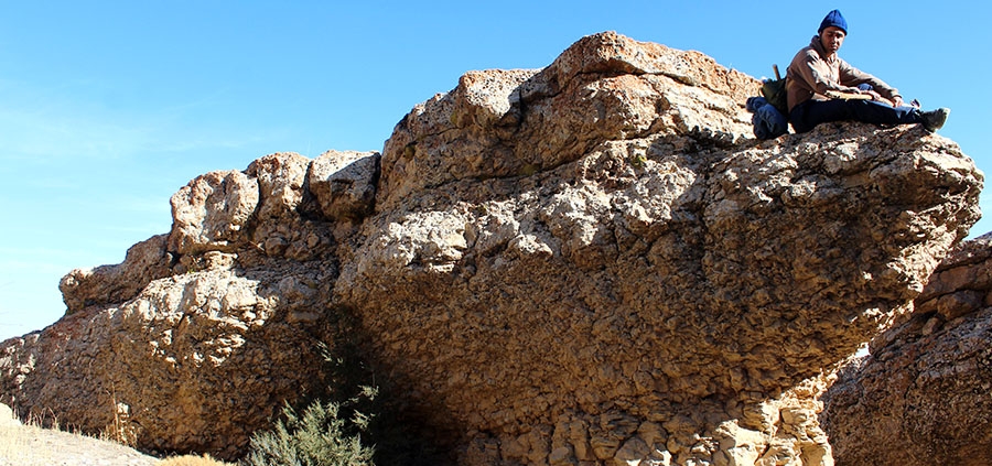 تمساح سنگی دره سیستان