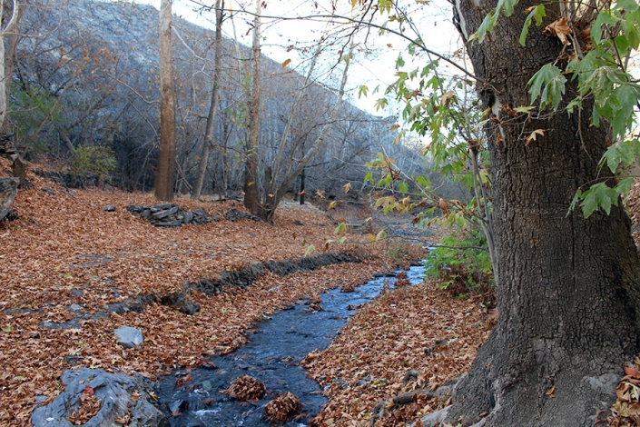 رودخانه روستای سربرج رودخانه روستای سربرج،جاهای دیدنی مشهد