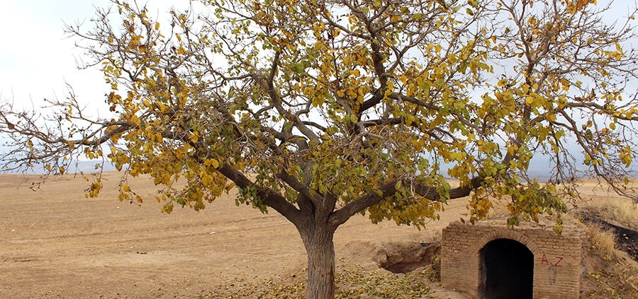 حوض انبار تخته خانرود