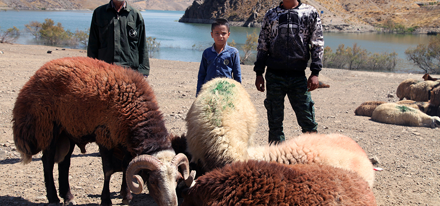 روستای کرتیان
