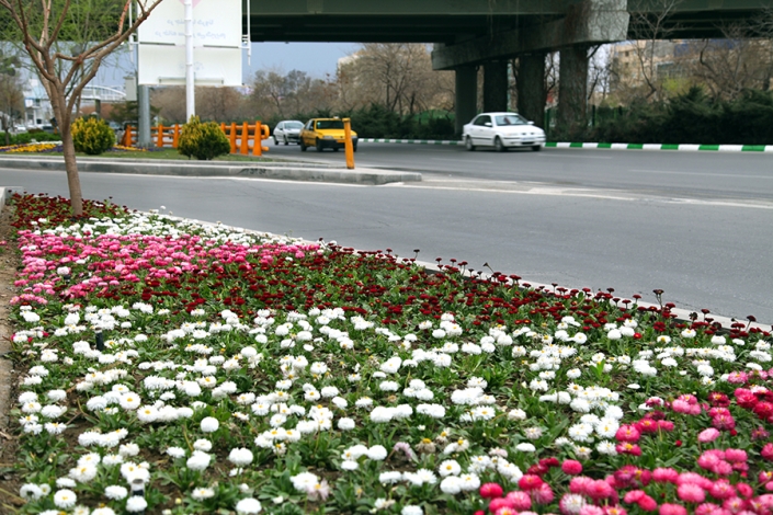 بلوار وکیل اباد بلوار وکیل اباد