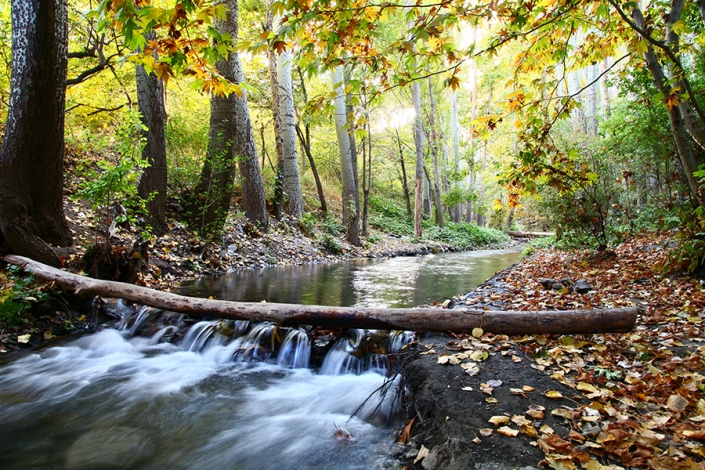 رودخانه مغان( رودخانه طرق) رودخانه مغان(رودخانه طرق)،رودخانه فصلی،از تفرجگاه های مشهد،جاهای دیدنی مشهد