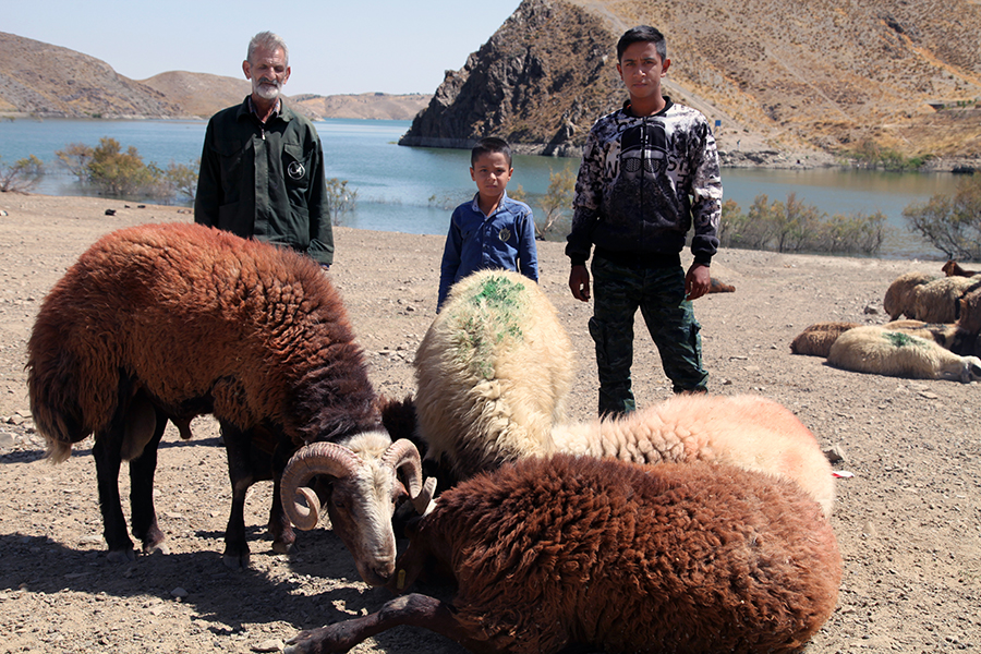روستای کرتیان روستای کرتیان