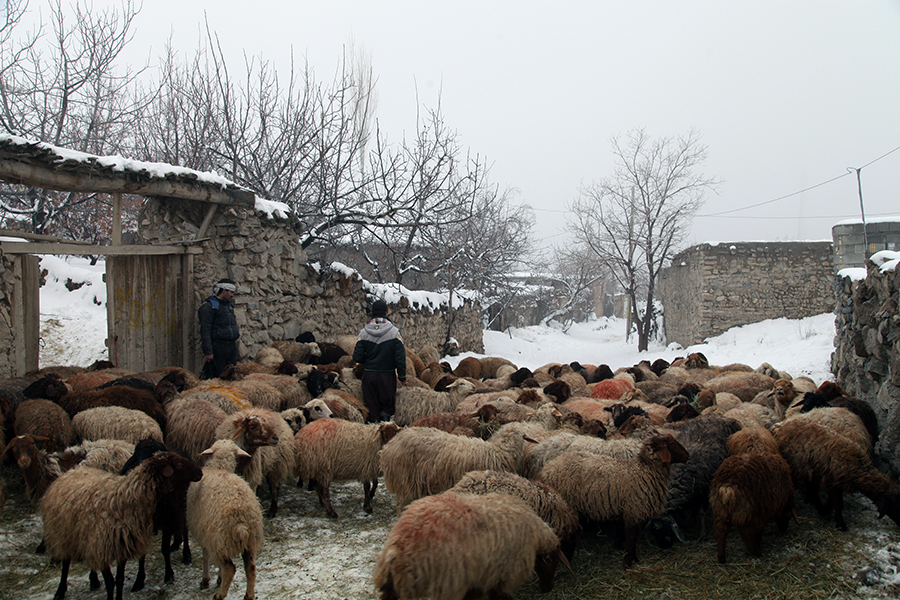 روستای کوهستانی ال روستای کوهستانی ال